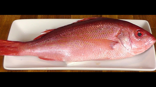 red snapper big sankara meen is the best fish to consume.